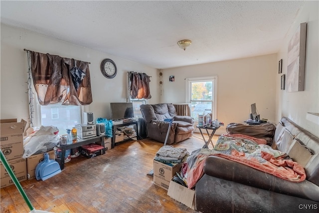 living room with hardwood / wood-style flooring and a textured ceiling