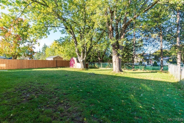 view of yard with a storage unit