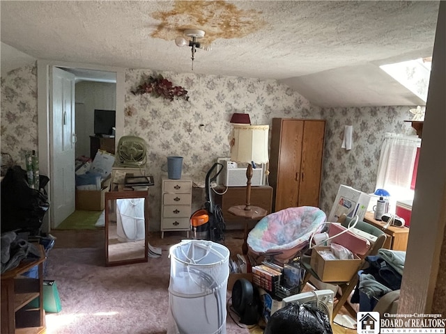 miscellaneous room featuring carpet flooring, a textured ceiling, and vaulted ceiling