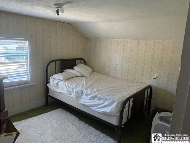 bedroom with lofted ceiling