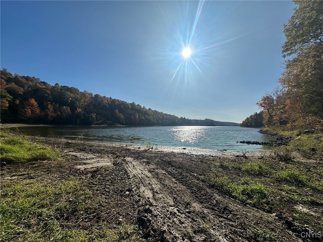 00 Sheley Rd Unit 85, Theresa NY, 13691 land for sale