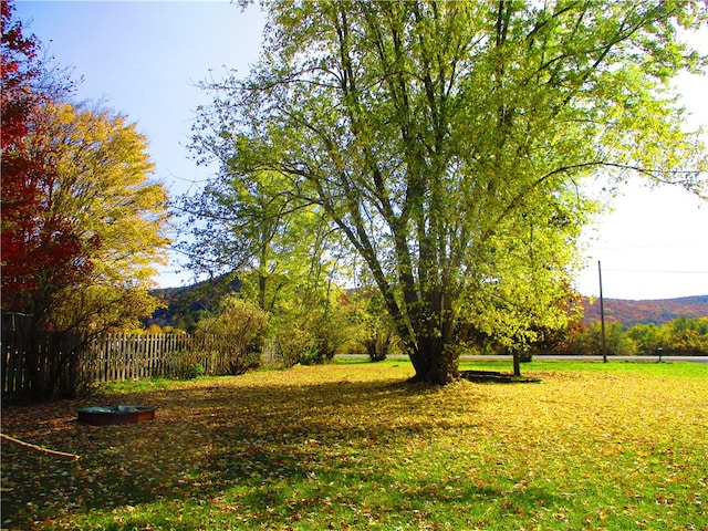 view of yard featuring a mountain view