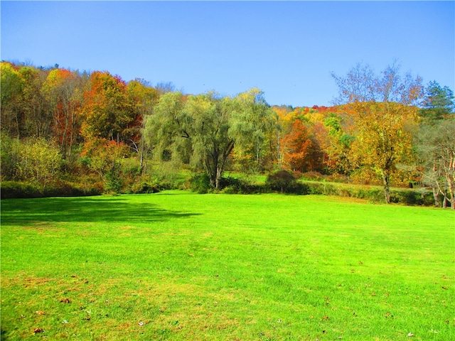 view of property's community featuring a yard