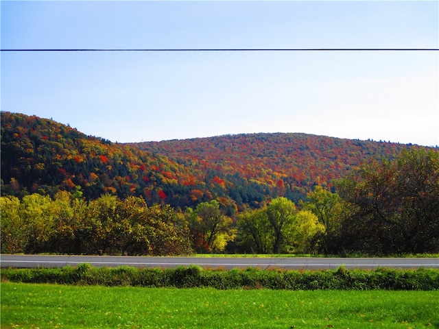 view of mountain feature