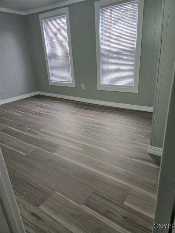 spare room featuring ornamental molding and wood-type flooring