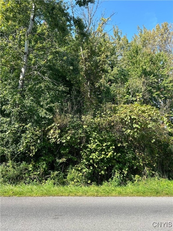 LOT2 Beach Rd, Cicero NY, 13029 land for sale