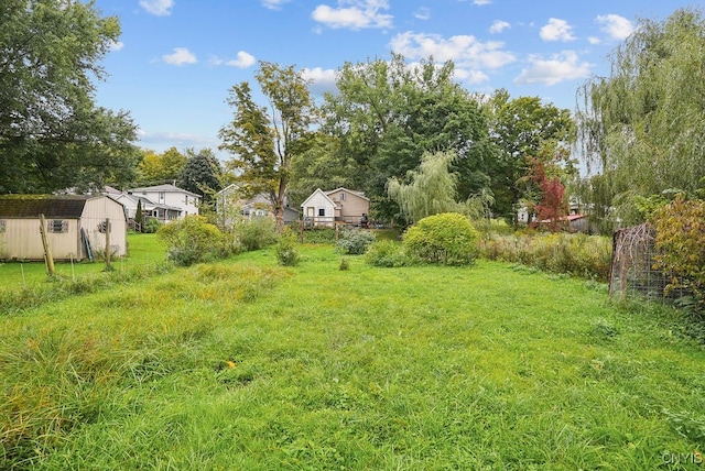 view of yard featuring a storage shed