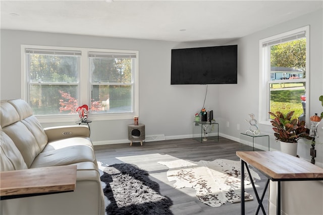 living room featuring dark hardwood / wood-style flooring