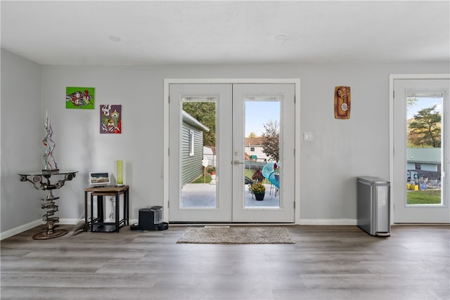 entryway with hardwood / wood-style floors, a healthy amount of sunlight, and french doors