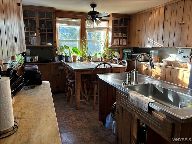 kitchen with sink and ceiling fan