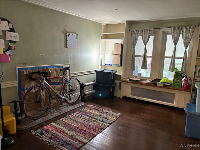 interior space featuring dark hardwood / wood-style flooring