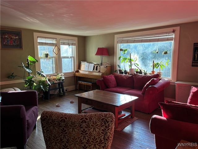 living room with dark hardwood / wood-style flooring