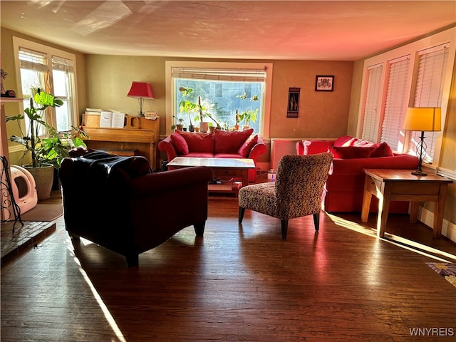 living room featuring dark wood-type flooring