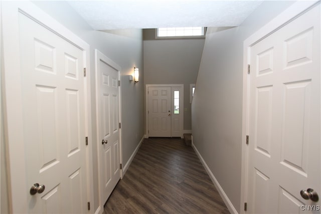 hall featuring dark wood-type flooring