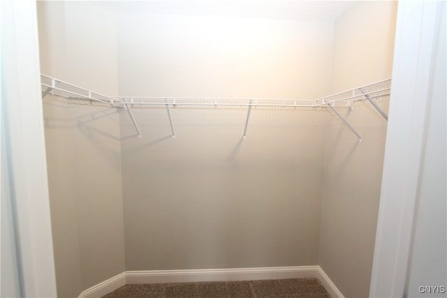 walk in closet with carpet