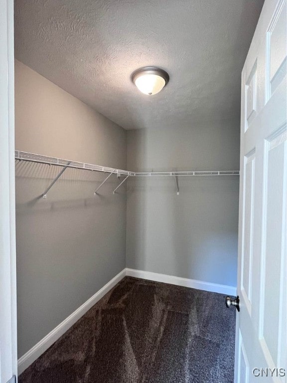 walk in closet featuring carpet flooring