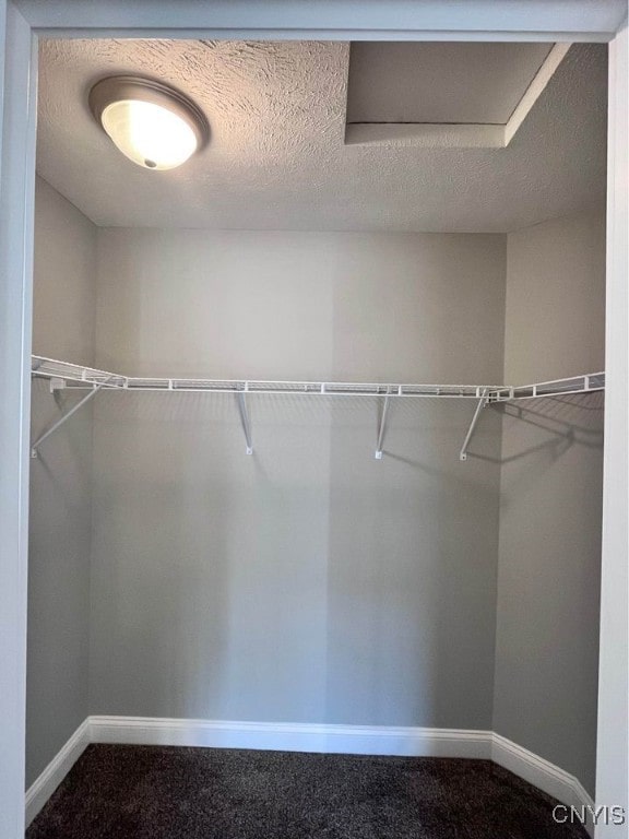 walk in closet with carpet flooring