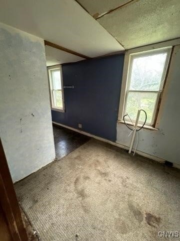 carpeted spare room featuring a wealth of natural light