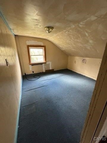 additional living space featuring vaulted ceiling and carpet