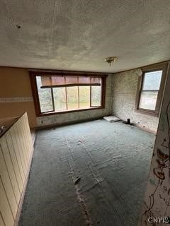 carpeted spare room with a healthy amount of sunlight and radiator
