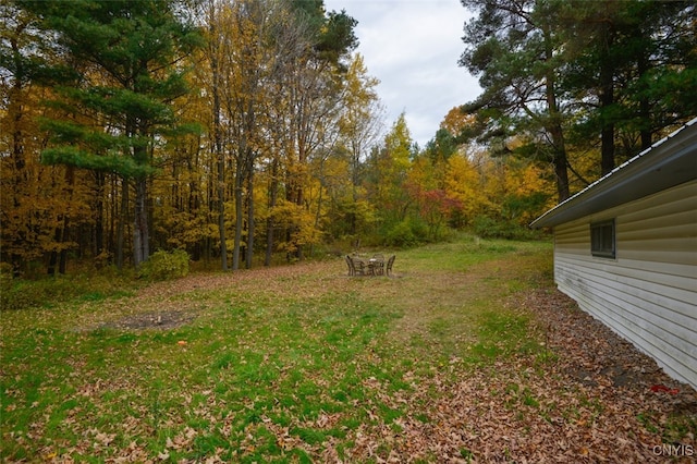 view of yard