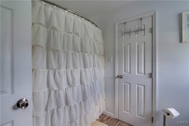 bathroom featuring wood-type flooring