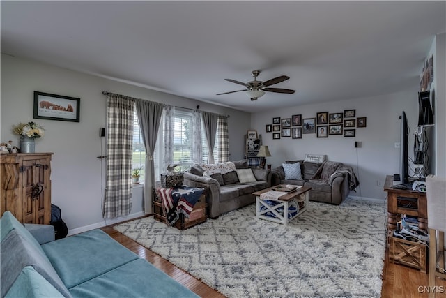 living room with wood-type flooring and ceiling fan