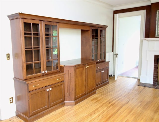 interior space featuring a brick fireplace, hardwood / wood-style flooring, and radiator