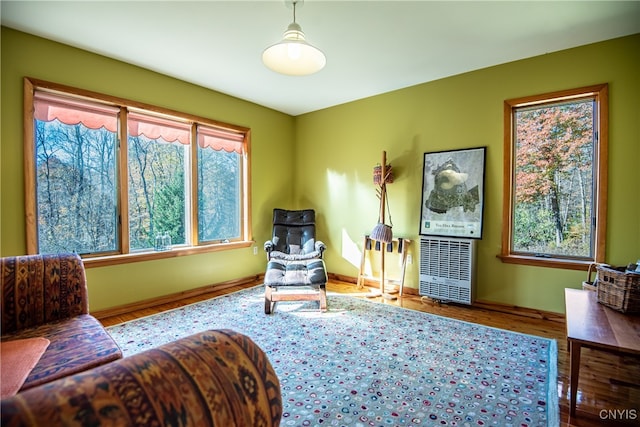 sitting room with wood-type flooring and plenty of natural light