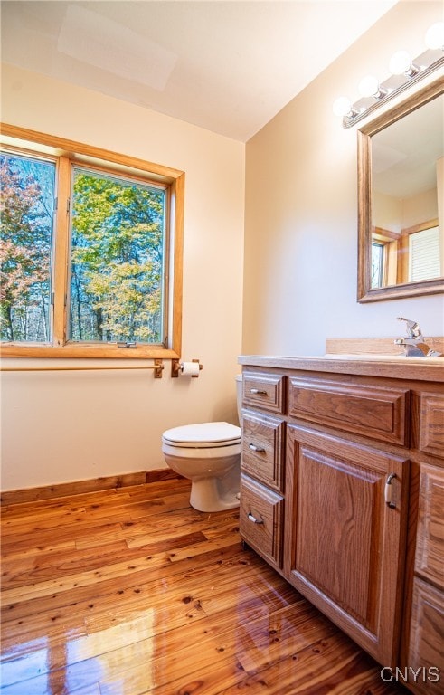 bathroom featuring vanity, toilet, and wood-type flooring