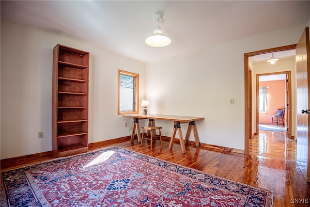 office featuring wood-type flooring