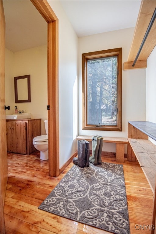 interior space featuring light hardwood / wood-style flooring and sink