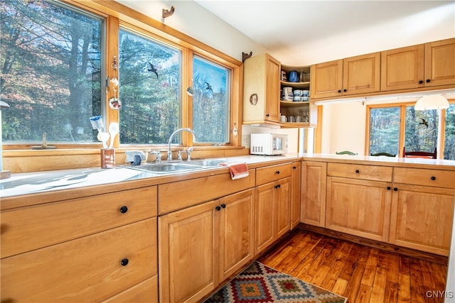 kitchen featuring sink, a healthy amount of sunlight, and dark hardwood / wood-style flooring