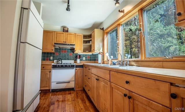 kitchen featuring tasteful backsplash, sink, dark wood-type flooring, and white appliances