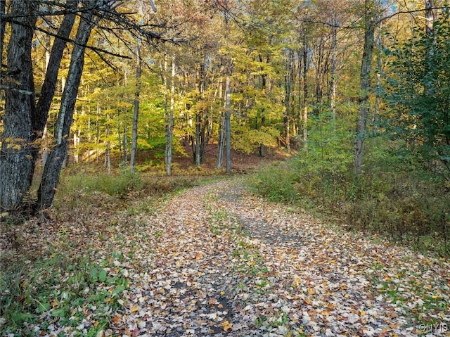 view of road