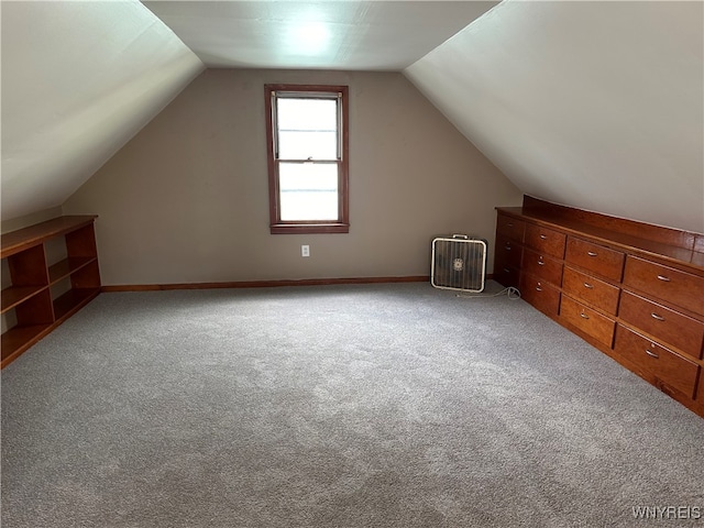 additional living space with carpet and vaulted ceiling