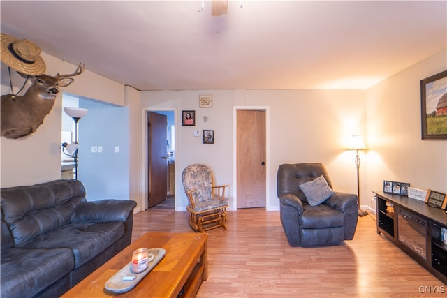 living room featuring light hardwood / wood-style flooring