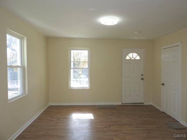 entryway with a wealth of natural light and dark hardwood / wood-style floors