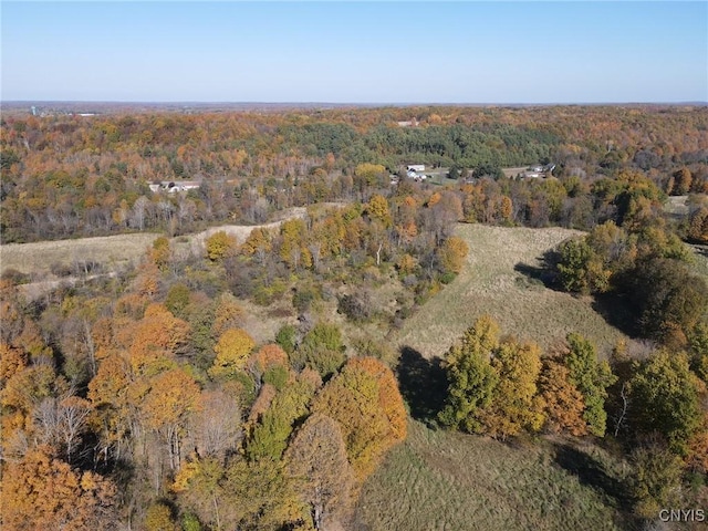 bird's eye view with a view of trees