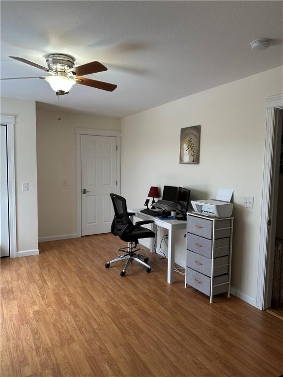 office with ceiling fan and light hardwood / wood-style floors