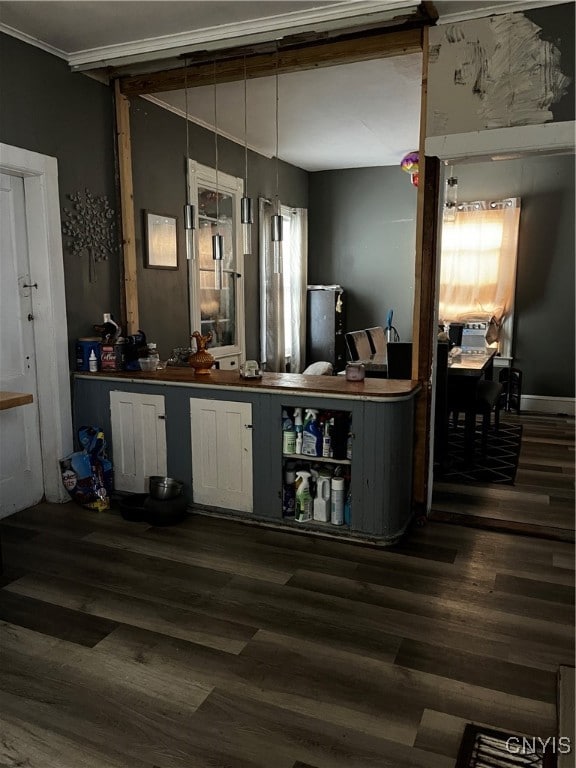 bar with dark wood-type flooring and crown molding