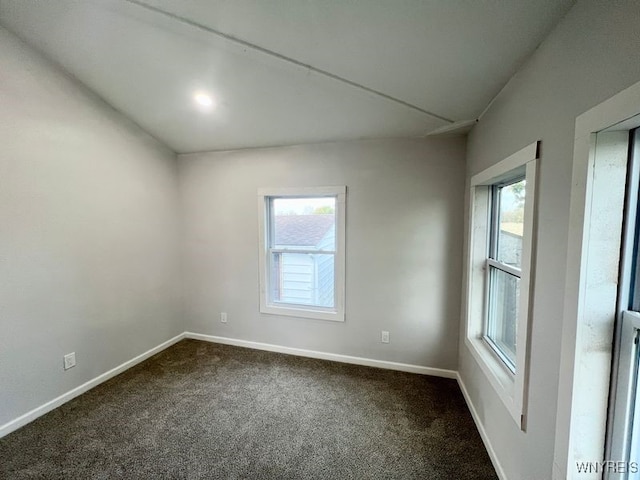 unfurnished room featuring carpet flooring and plenty of natural light