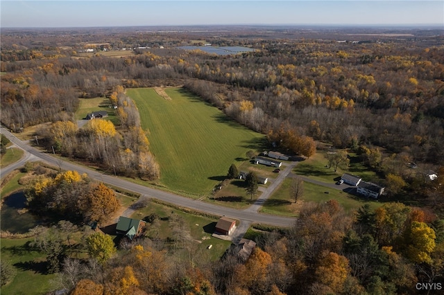 drone / aerial view featuring a rural view