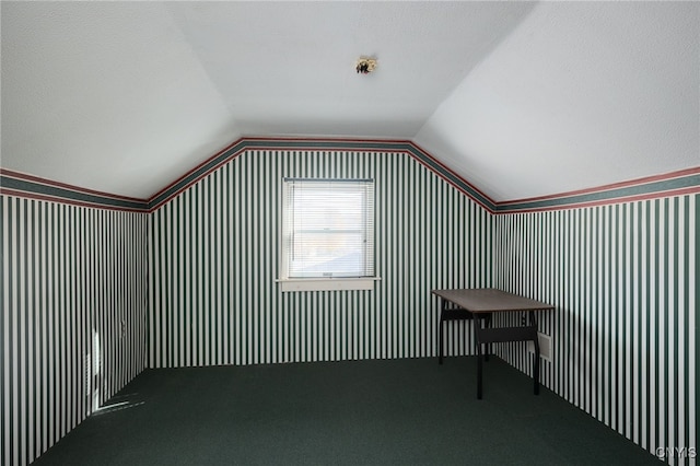 bonus room with a textured ceiling, vaulted ceiling, and carpet floors