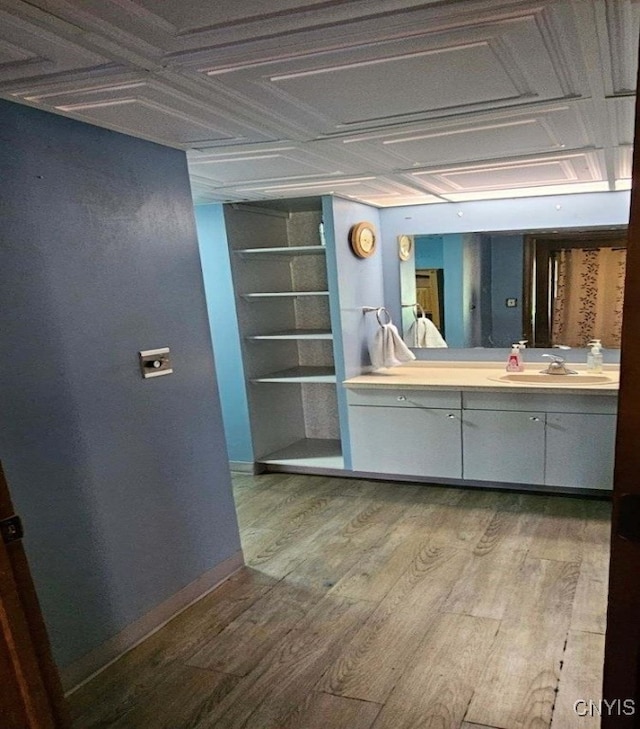 bathroom featuring vanity and wood-type flooring