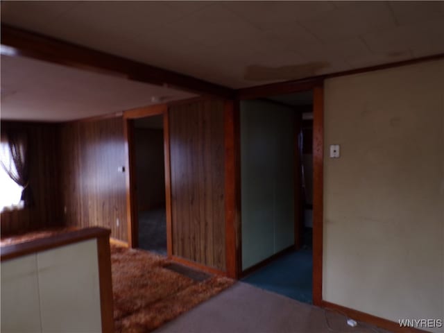 spare room with wood walls and carpet