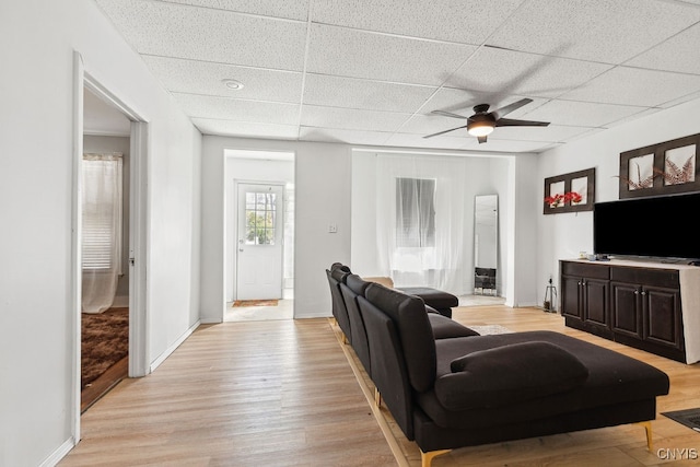 living room featuring a paneled ceiling, ceiling fan, and light wood-type flooring