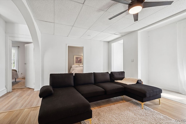 living room featuring a drop ceiling, light wood-type flooring, and ceiling fan