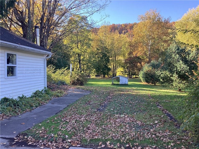 view of yard with a storage shed