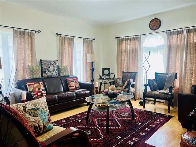 living room featuring a healthy amount of sunlight and hardwood / wood-style floors